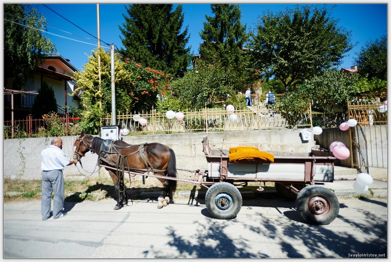 svatbena-fotografiya-kd-0139