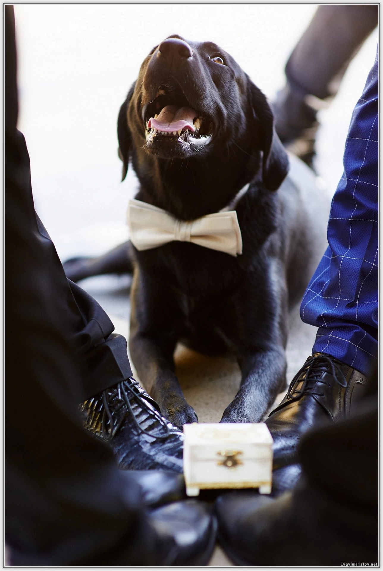 svatbena-fotografiya-kd-0194