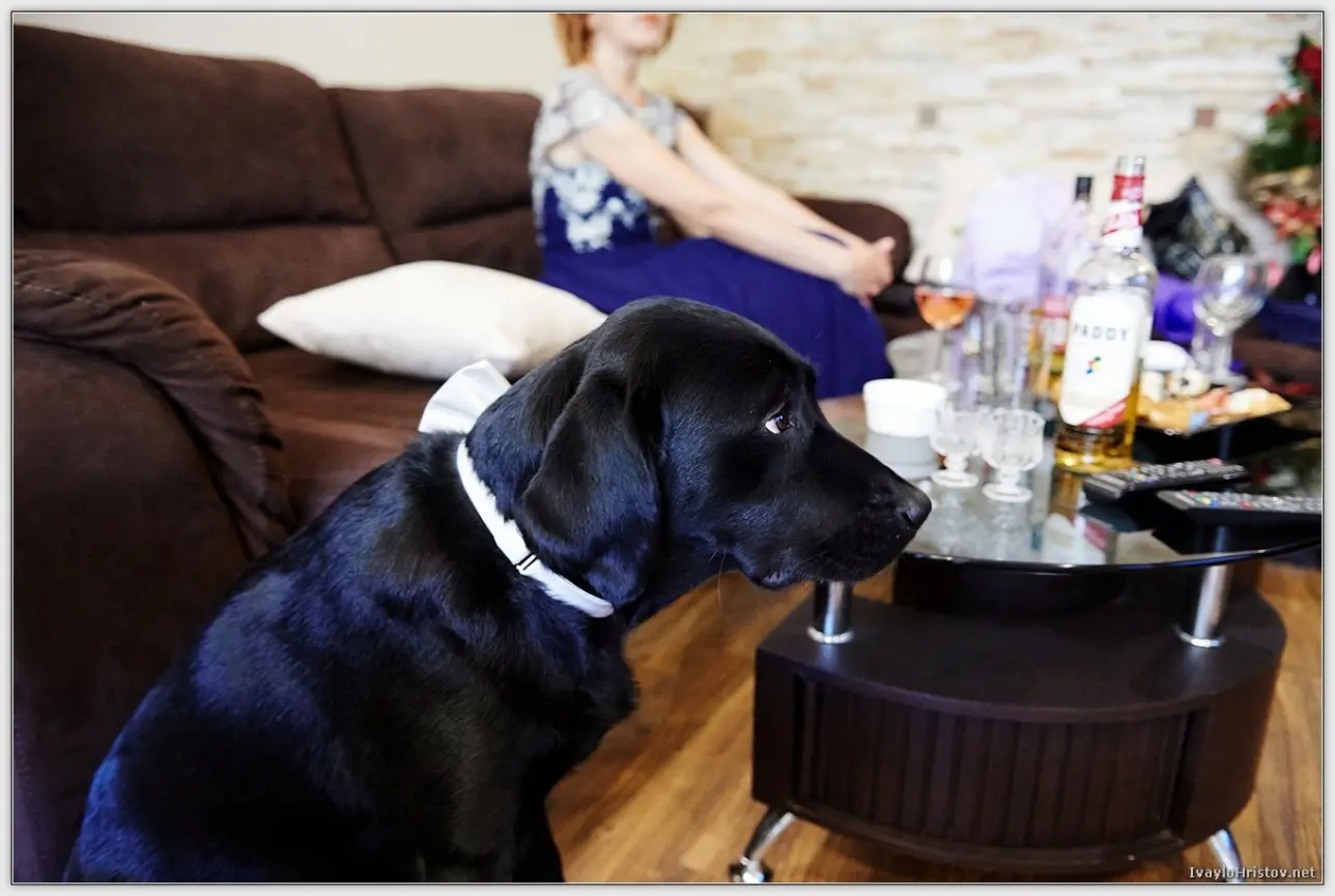 сватбена_фотография_KD_0052