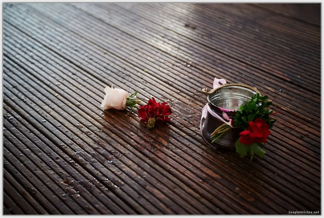 сватбена_фотография_IK_0231