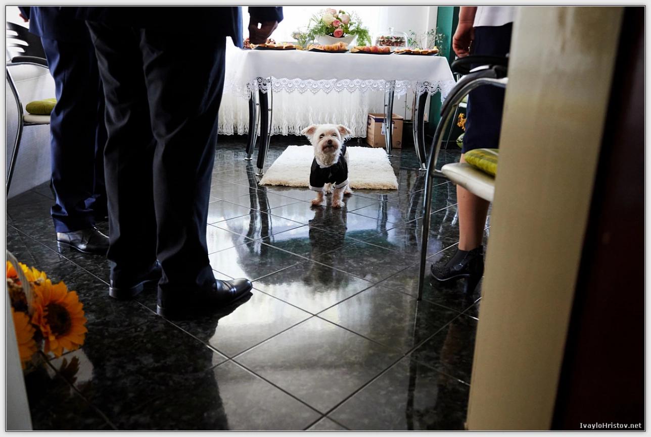 Svatbeni_Montana_0009