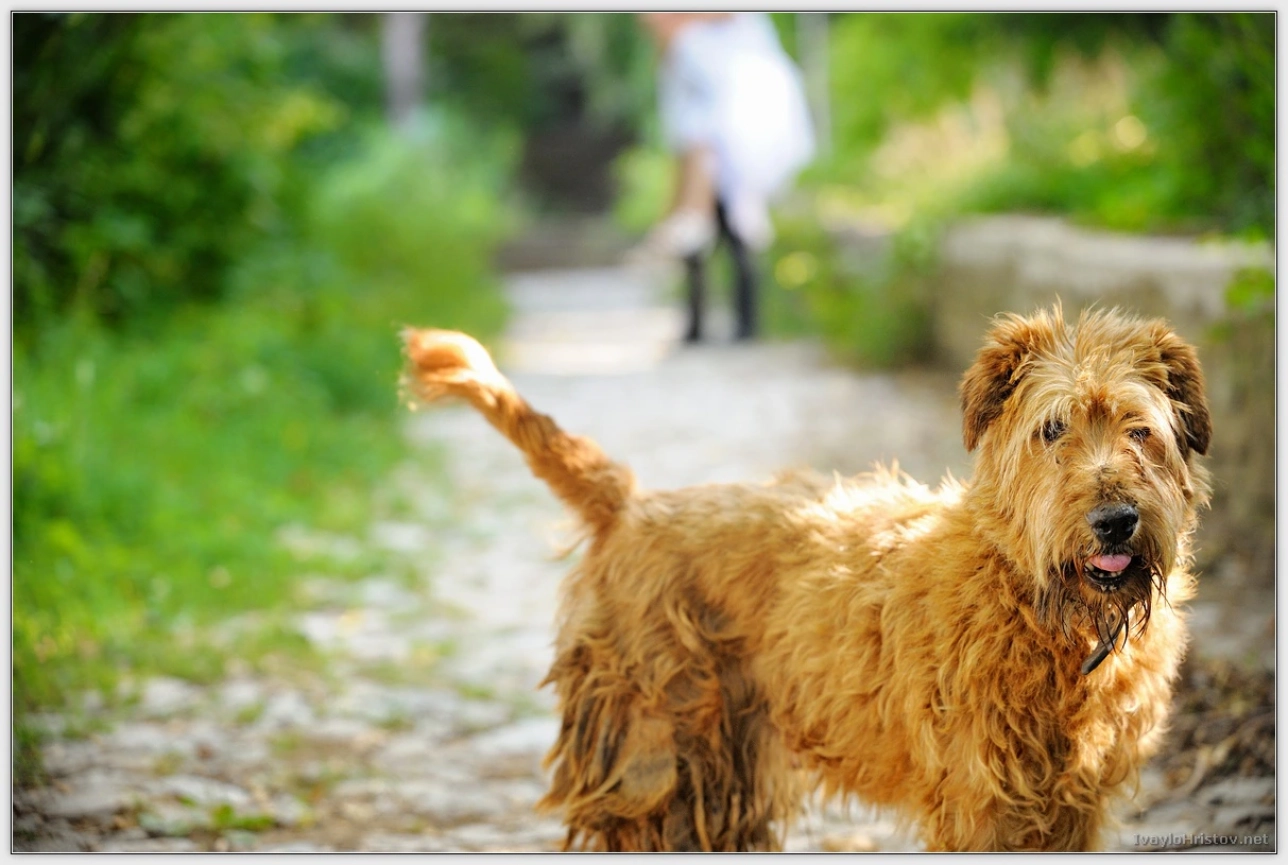 biliana-georgi-115-2014