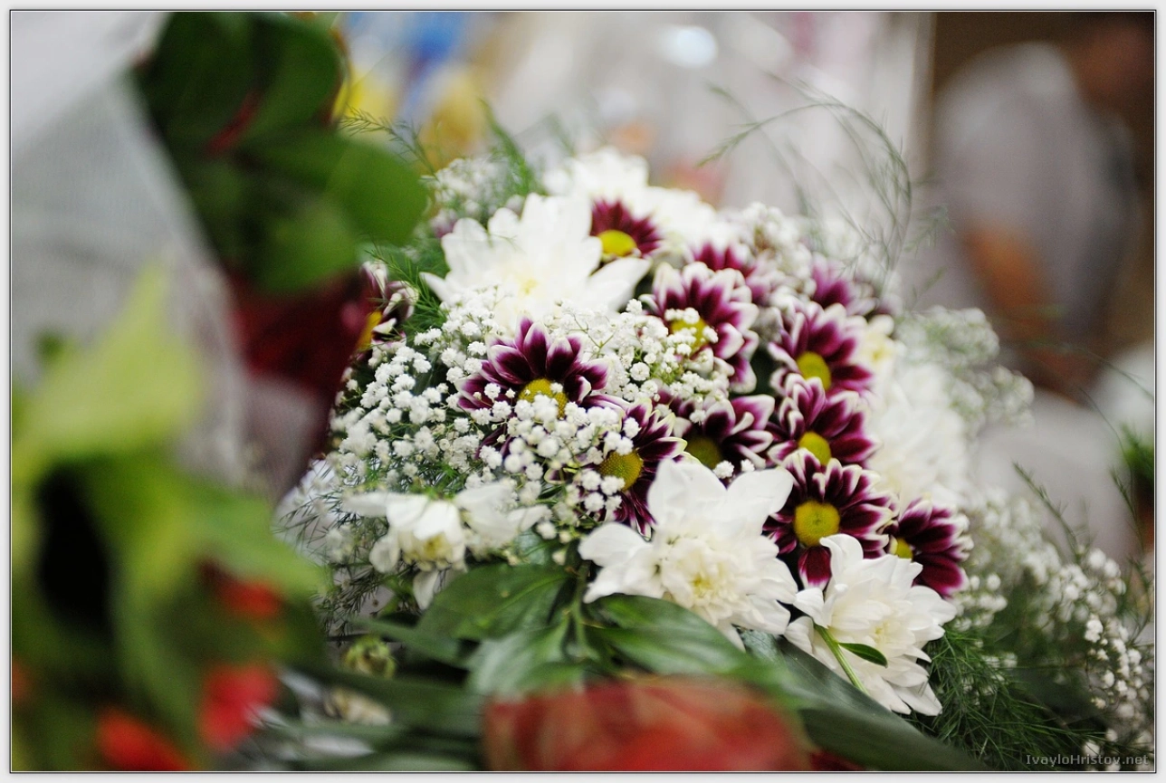 biliana-georgi-199-2014