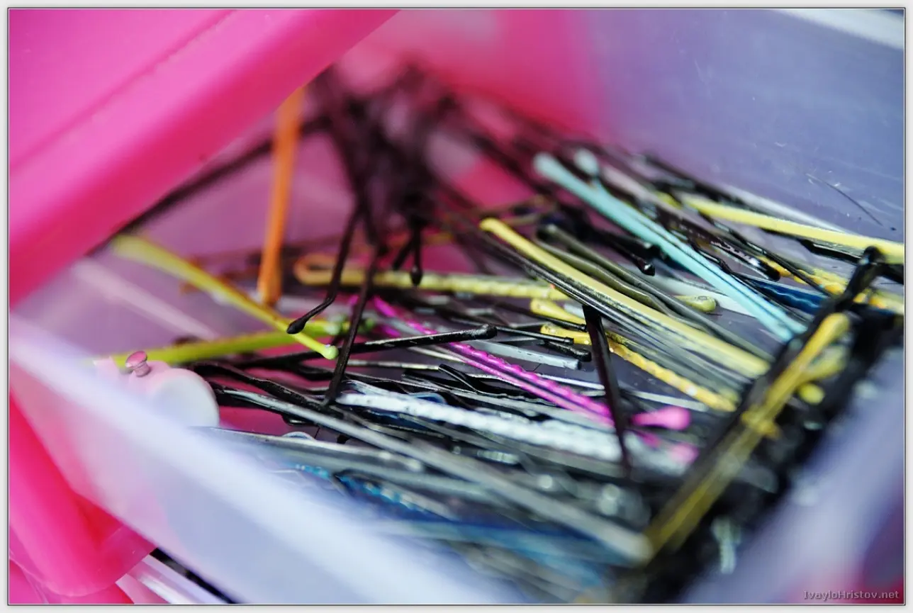 Biliana_Georgi_001_2014