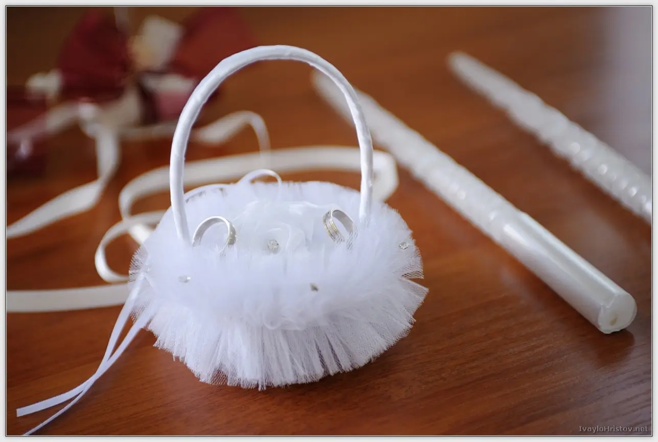 Biliana_Georgi_138_2014