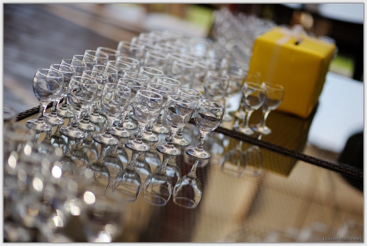 klavdia-viktorl-202-2014