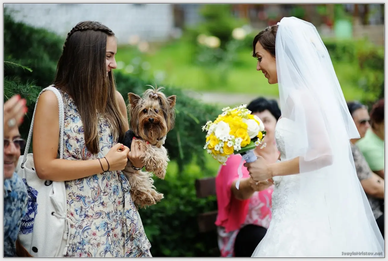 Klavdia_Viktorl_106_2014