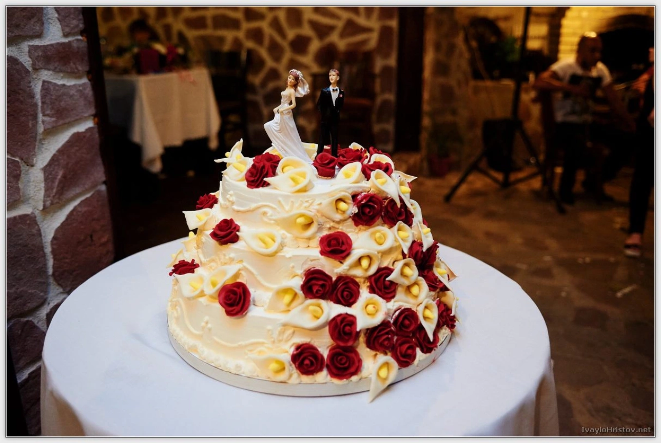 Сватбени_снимки_Чипровци _0244