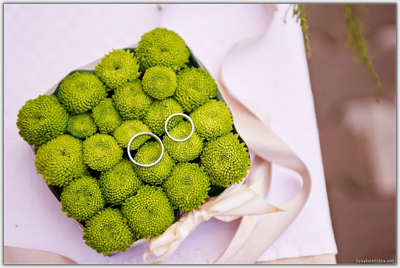 svatba-berkovitza-0114