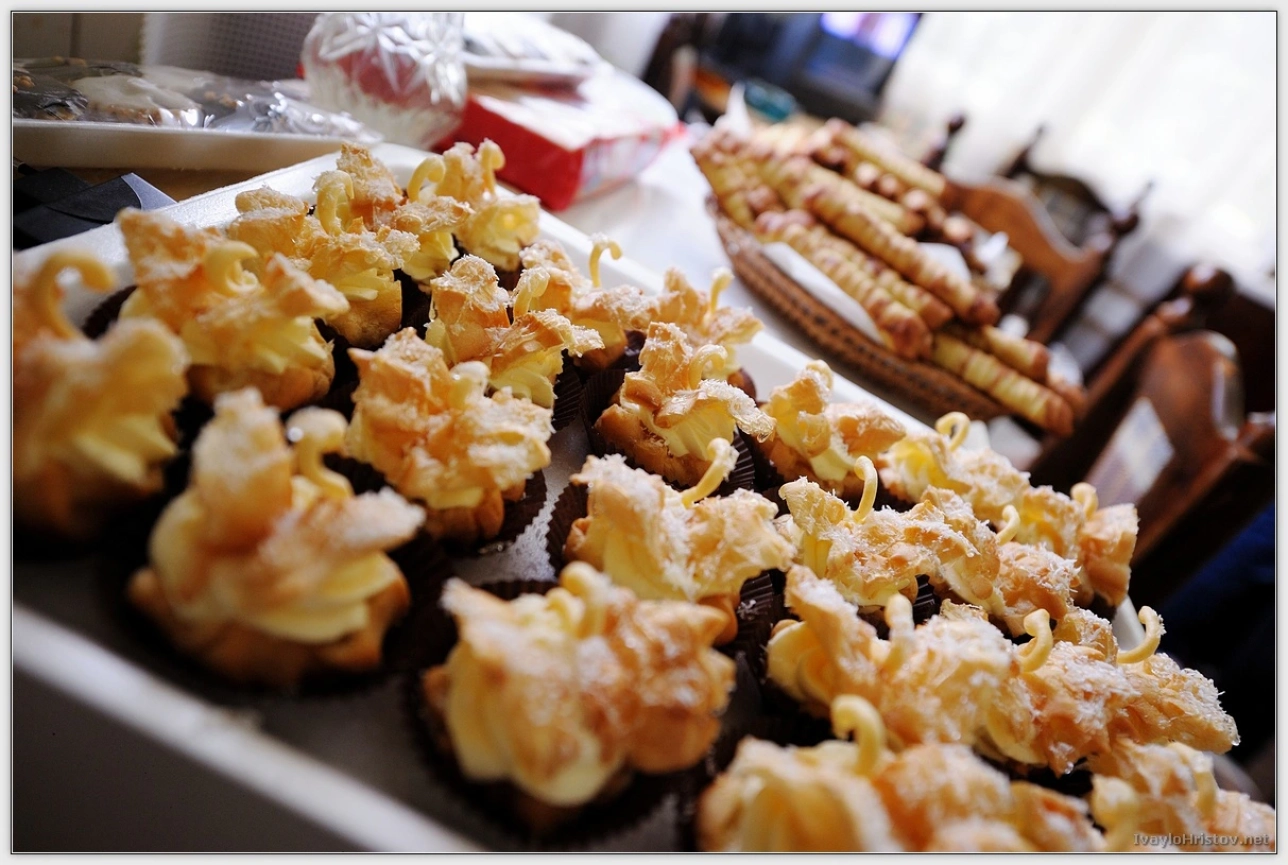 ralica-svetozar-009-2014