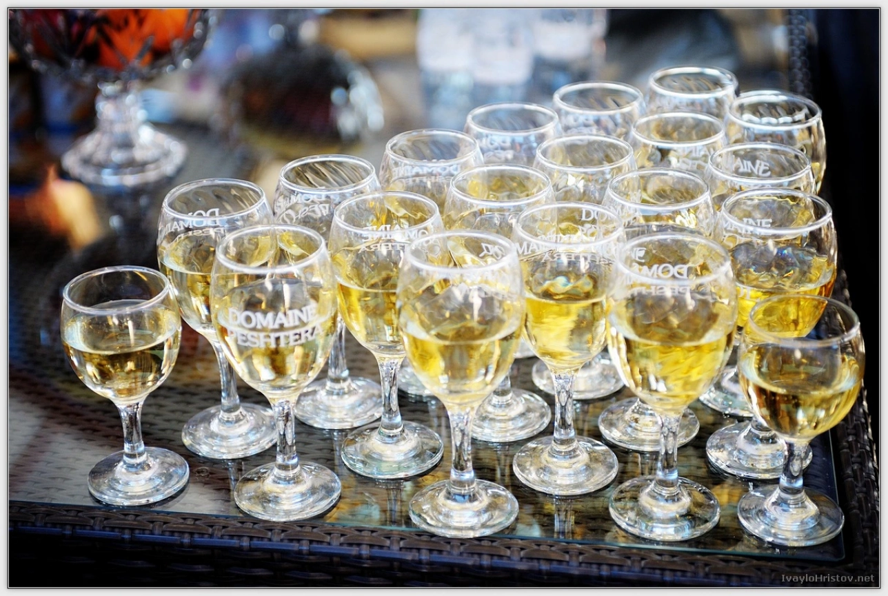 ralica-svetozar-165-2014