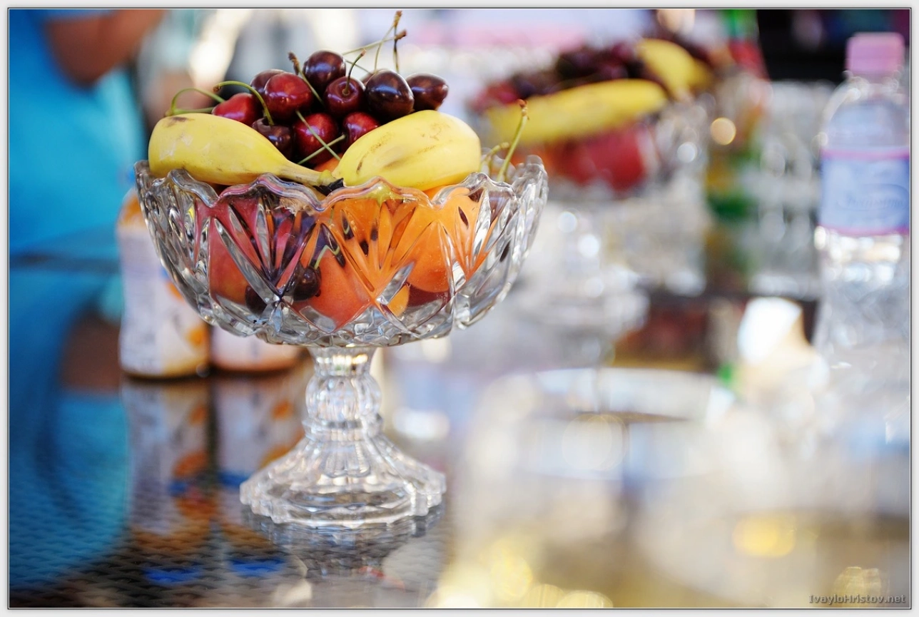 ralica-svetozar-169-2014