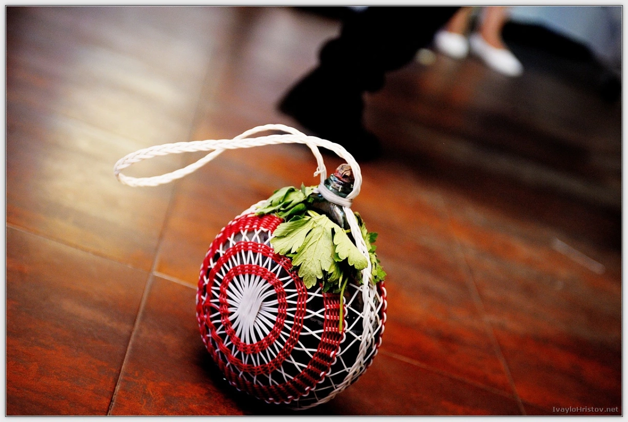 ralica-svetozar-172-2014