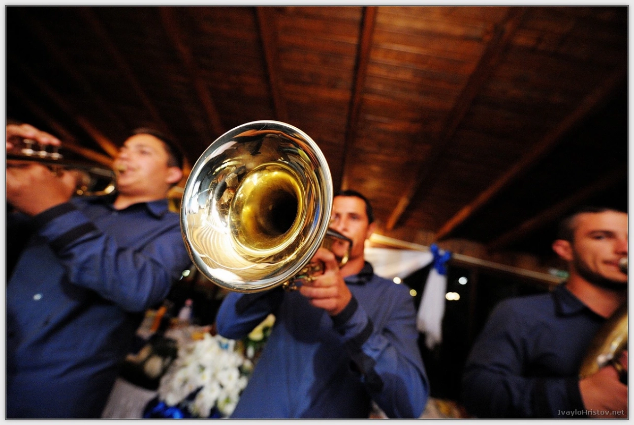 ralica-svetozar-195-2014