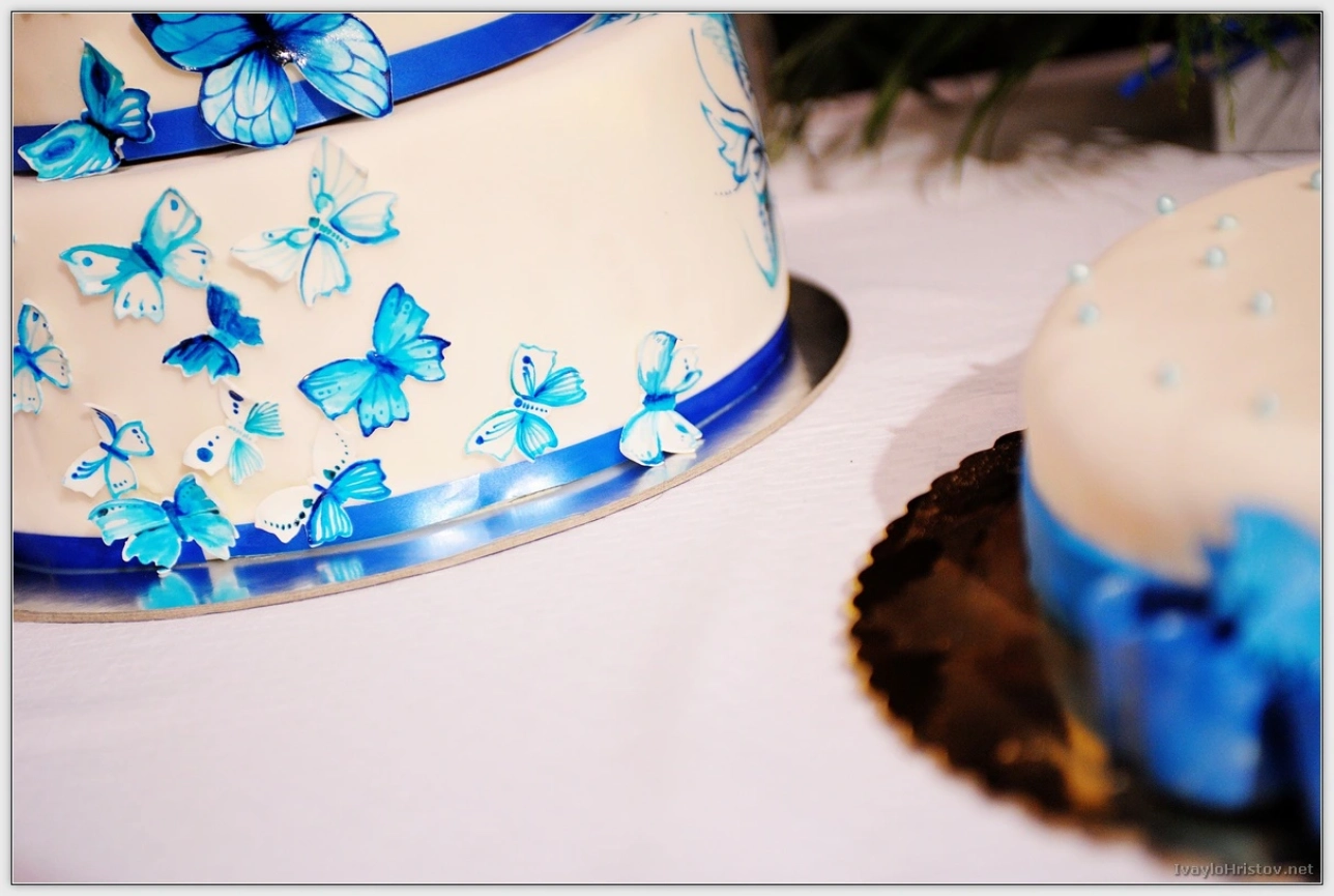 ralica-svetozar-210-2014