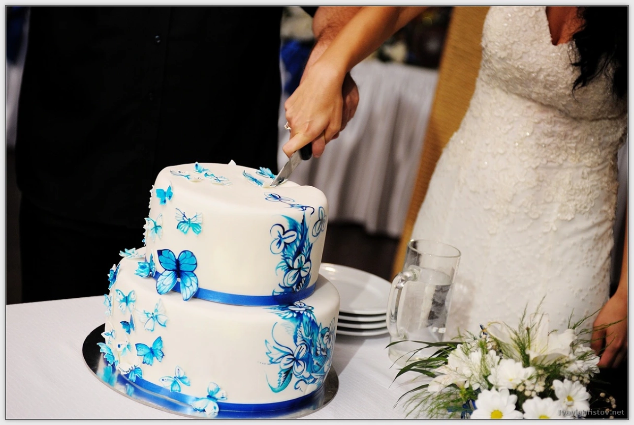 ralica-svetozar-213-2014