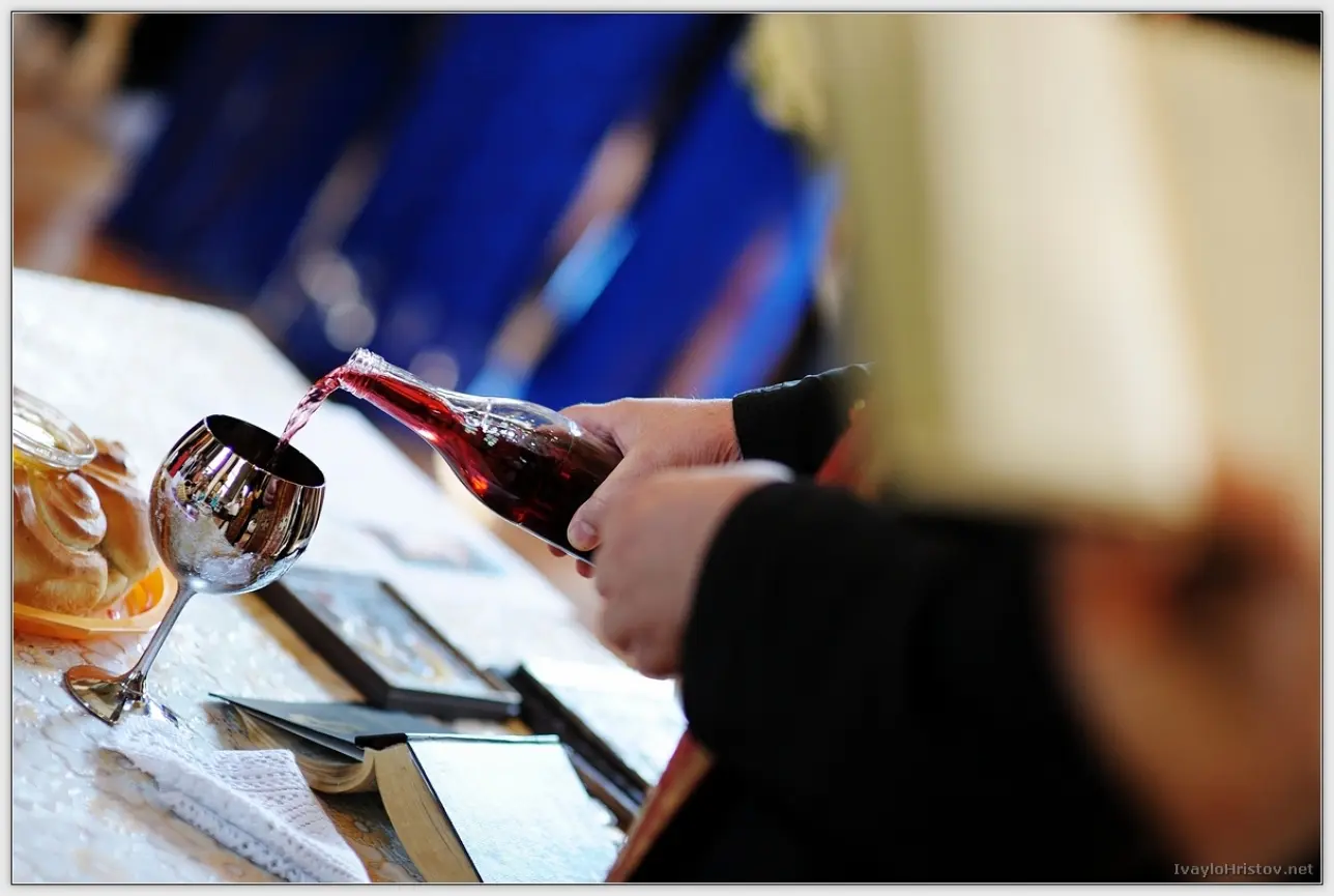 Ralica_Svetozar_086_2014