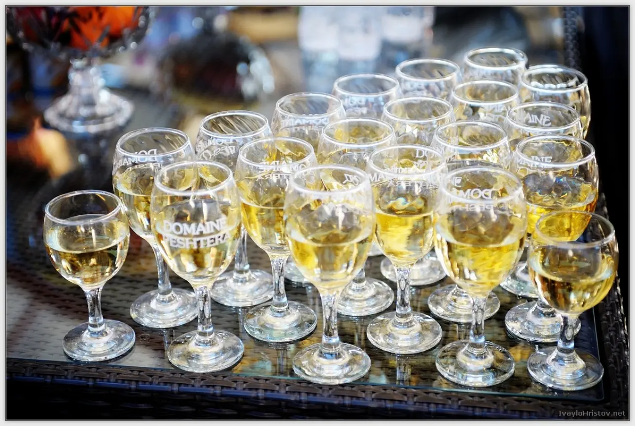 Ralica_Svetozar_165_2014