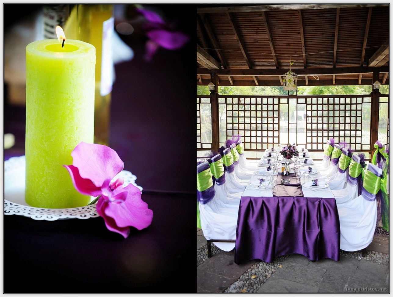 maria-stefan-015-2014