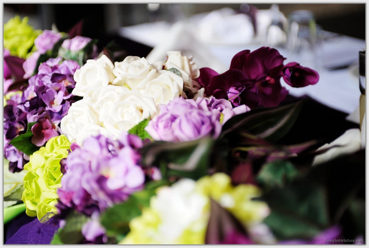 maria-stefan-018-2014