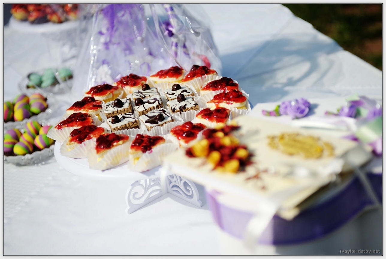 maria-stefan-033-2014