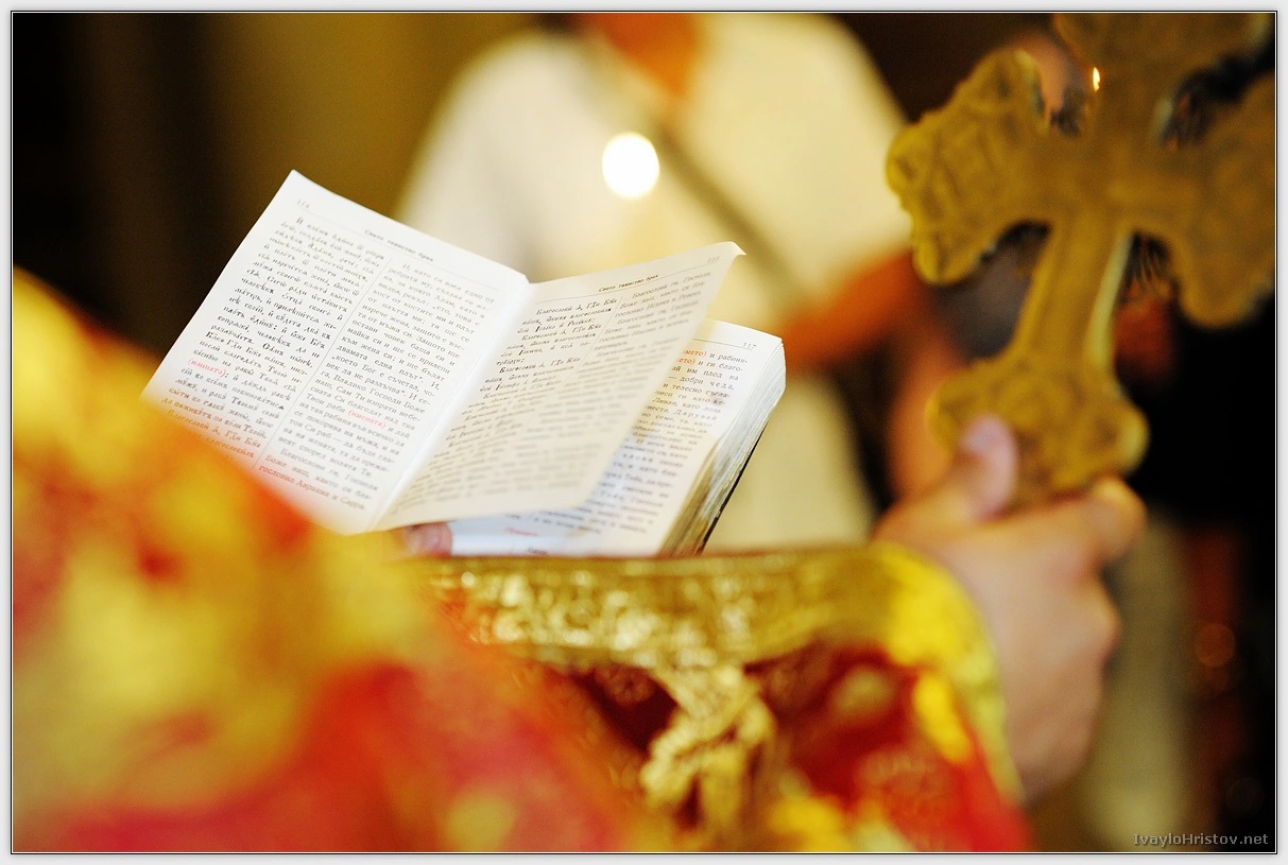 maria-stefan-103-2014