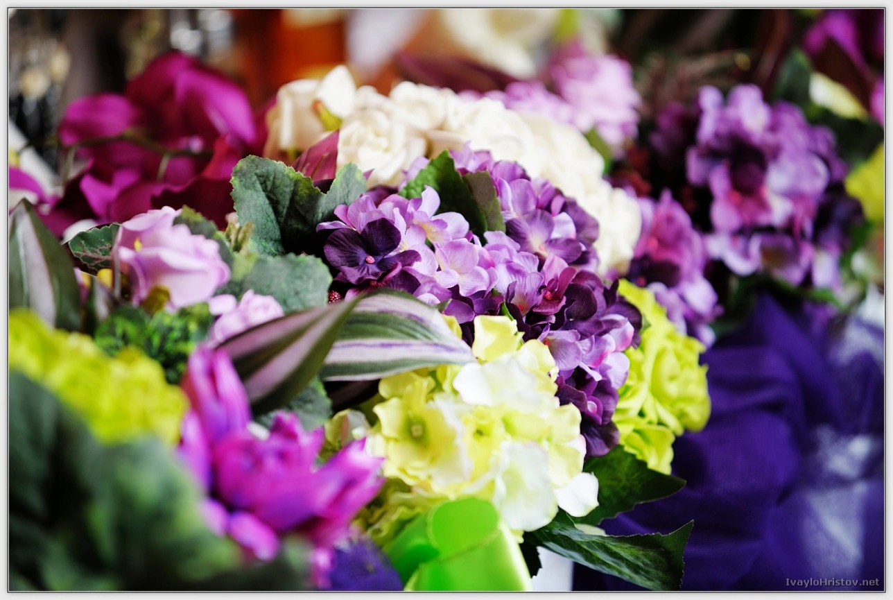 maria-stefan-120-2014