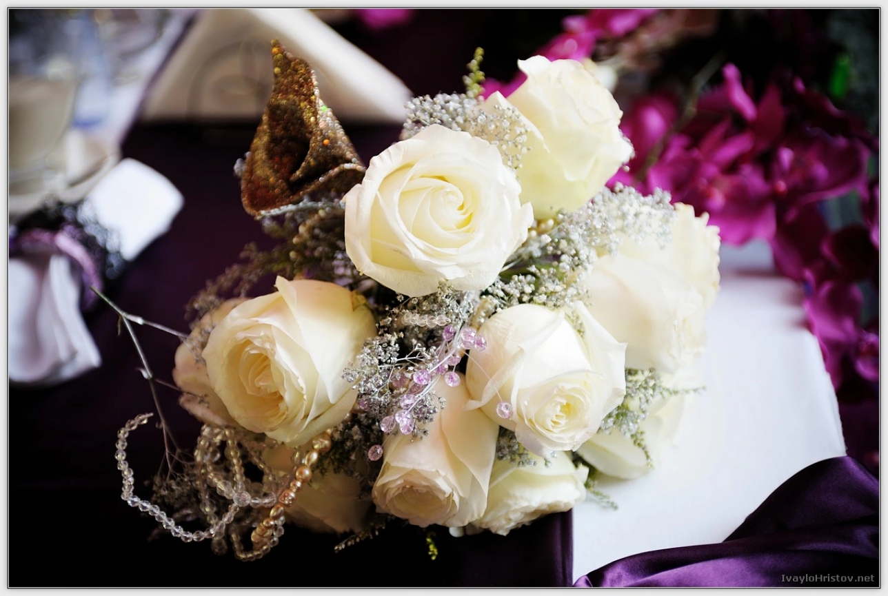 maria-stefan-132-2014