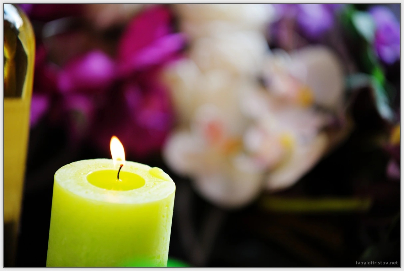 maria-stefan-133-2014