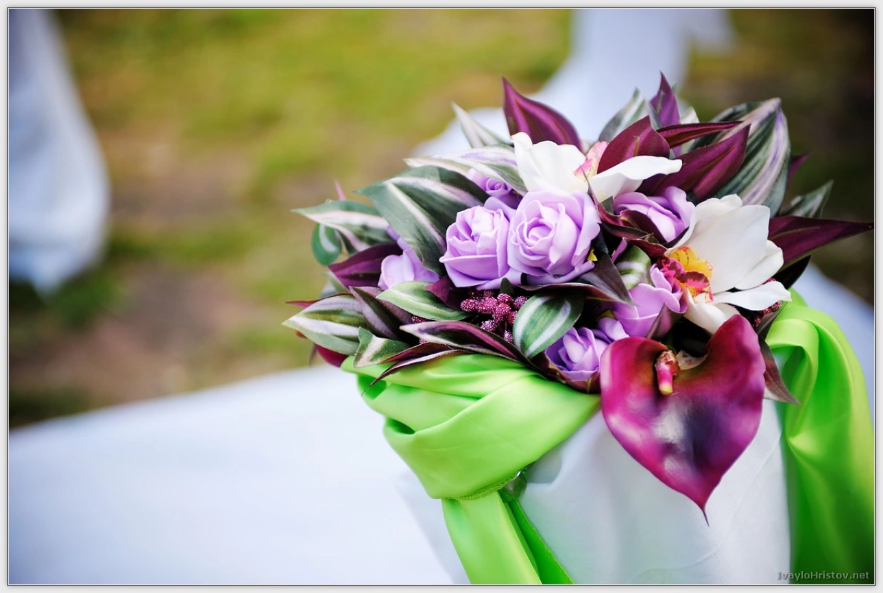 Maria_Stefan_045_2014