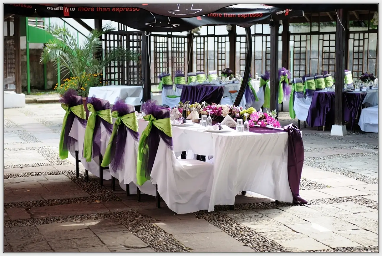 Maria_Stefan_014_2014