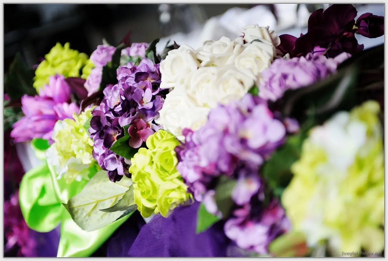 Maria_Stefan_019_2014