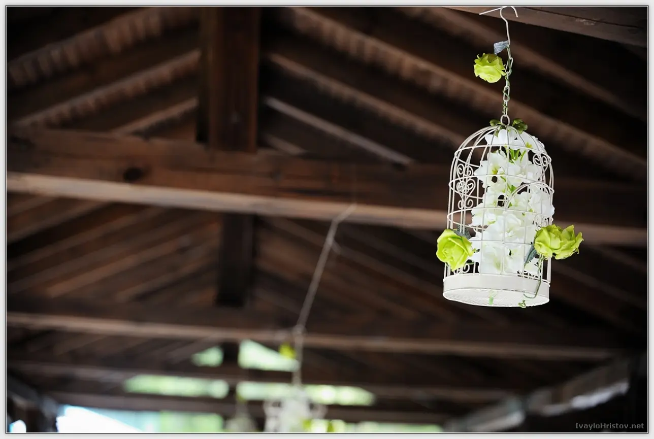 Maria_Stefan_025_2014