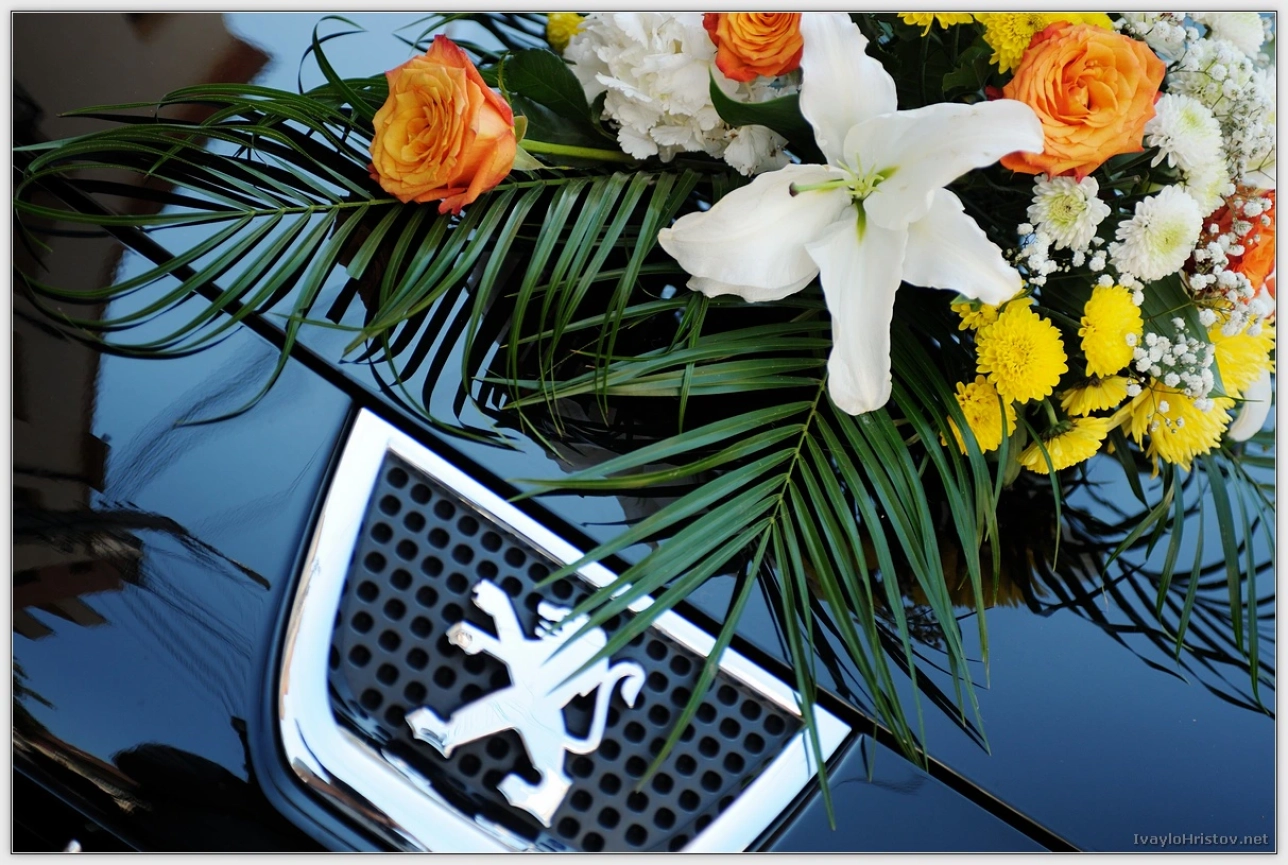 ralica-hristol-042-2014