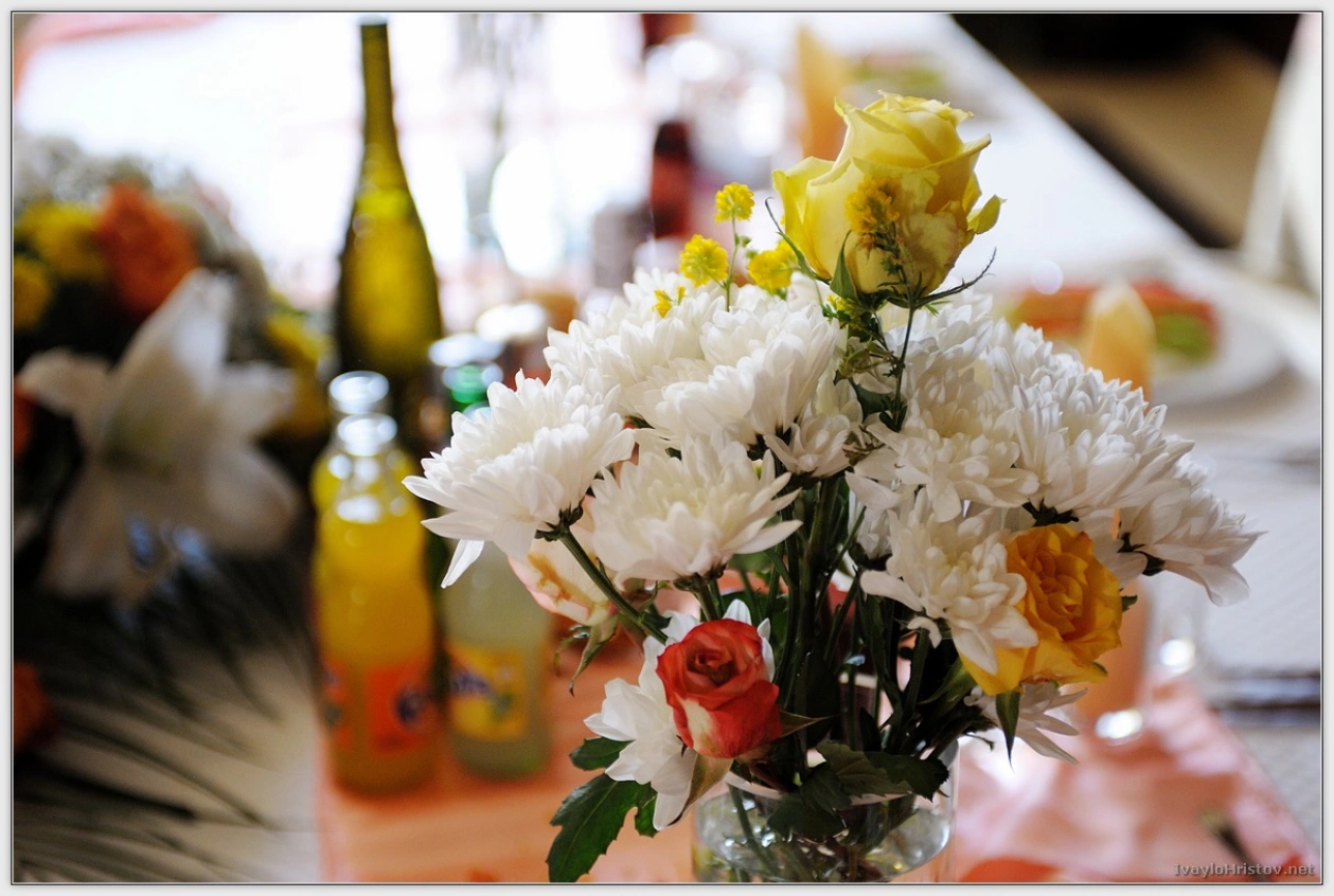 ralica-hristol-138-2014