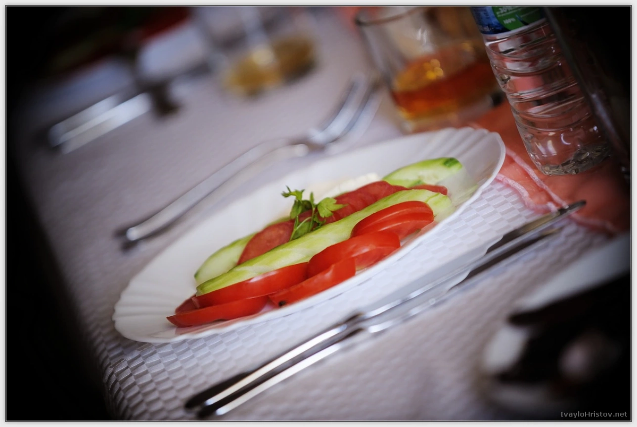 ralica-hristol-157-2014