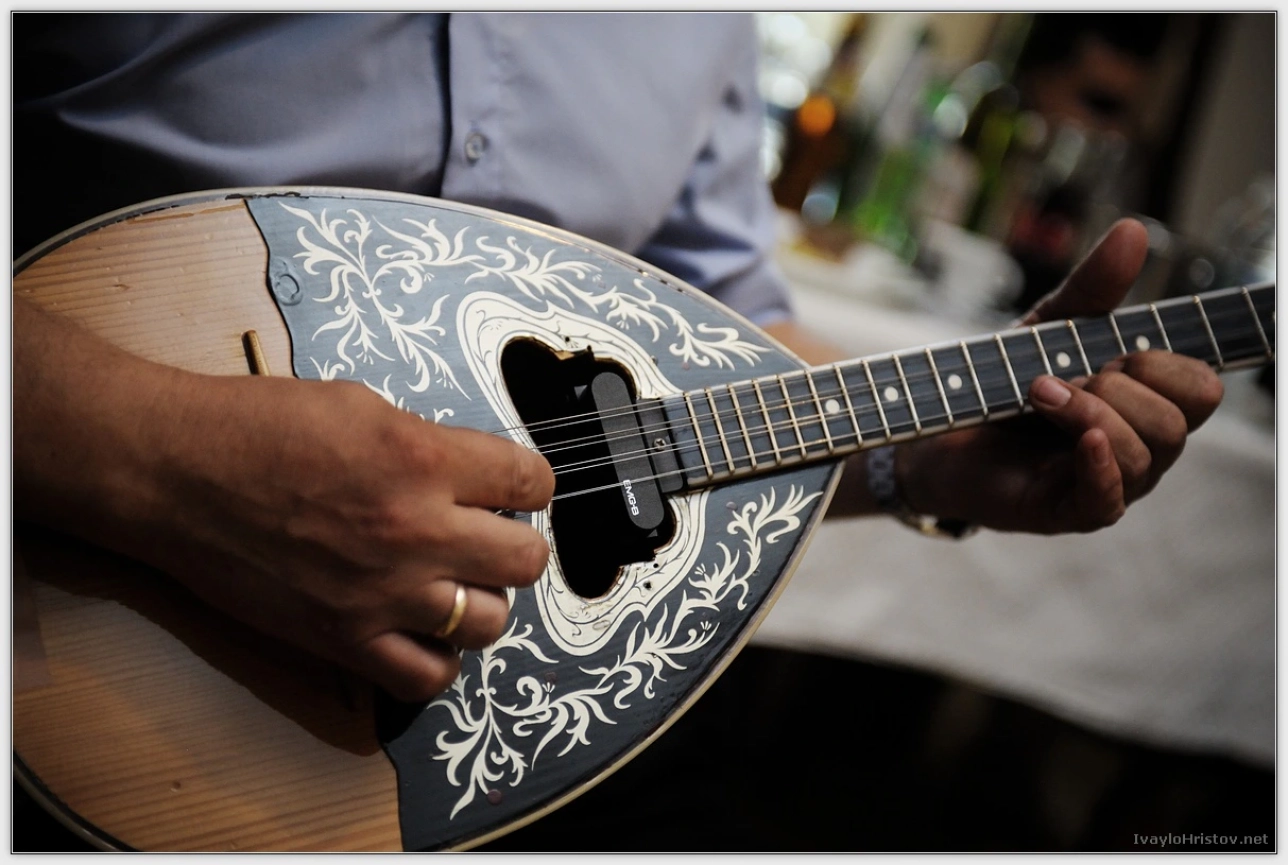 ralica-hristol-208-2014