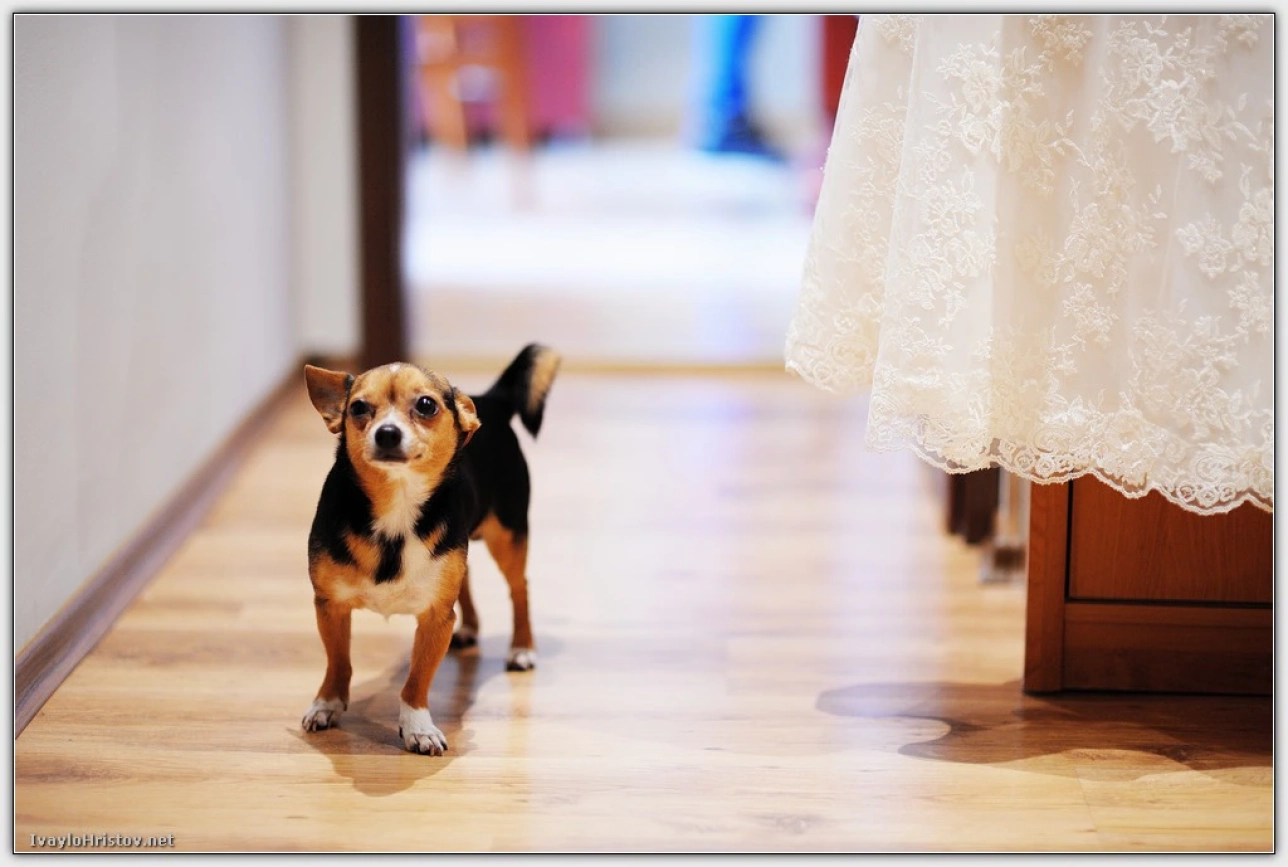 svatba-svetla-i-martin-i002