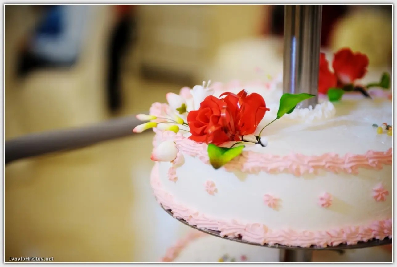 svatba svetla i martin_i268