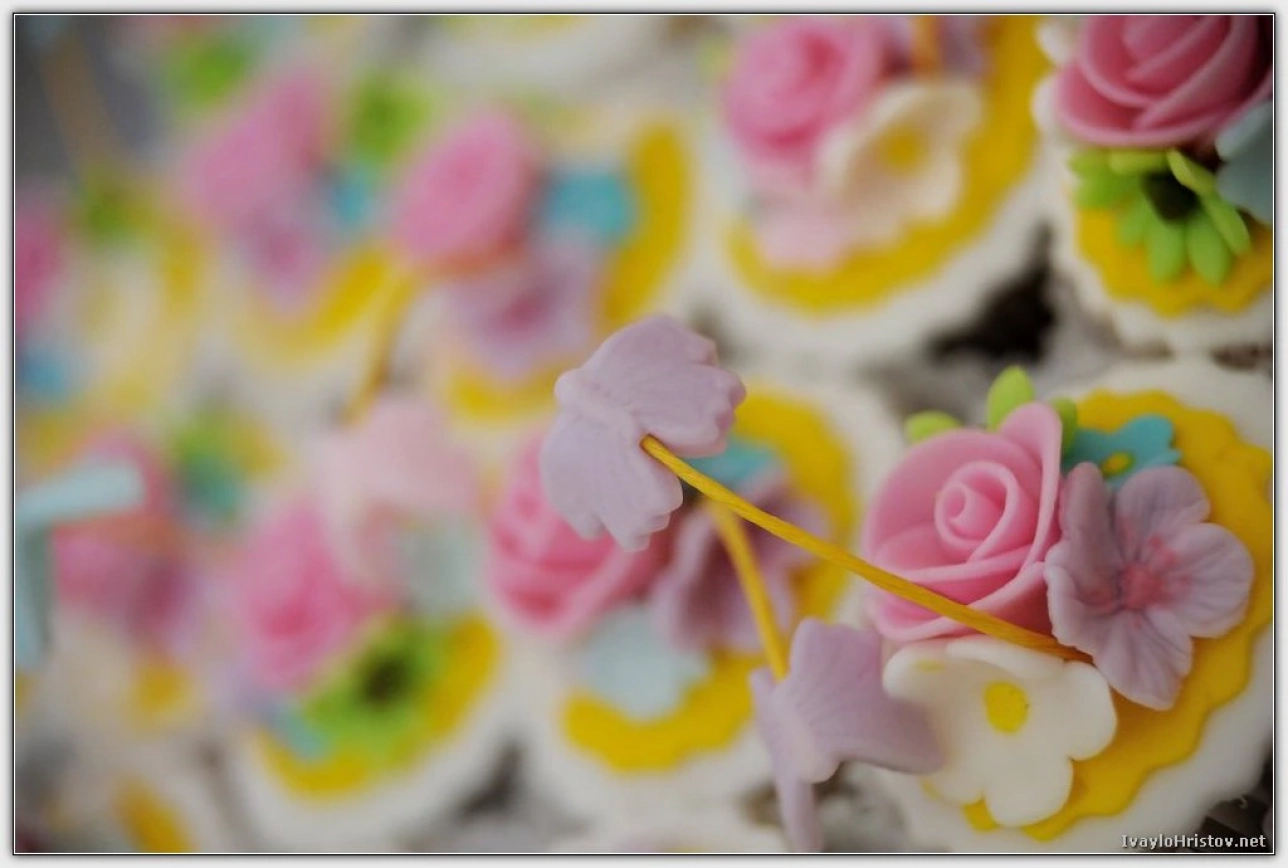 dani-i-alexander-00010