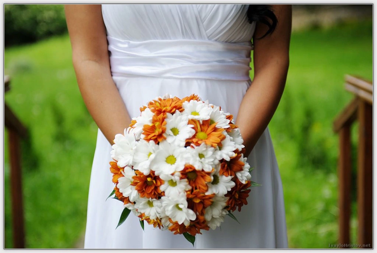 Заснемане_Монтана _0069