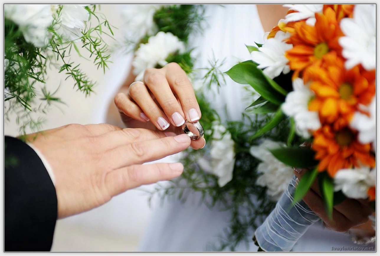 Заснемане_Монтана _0118