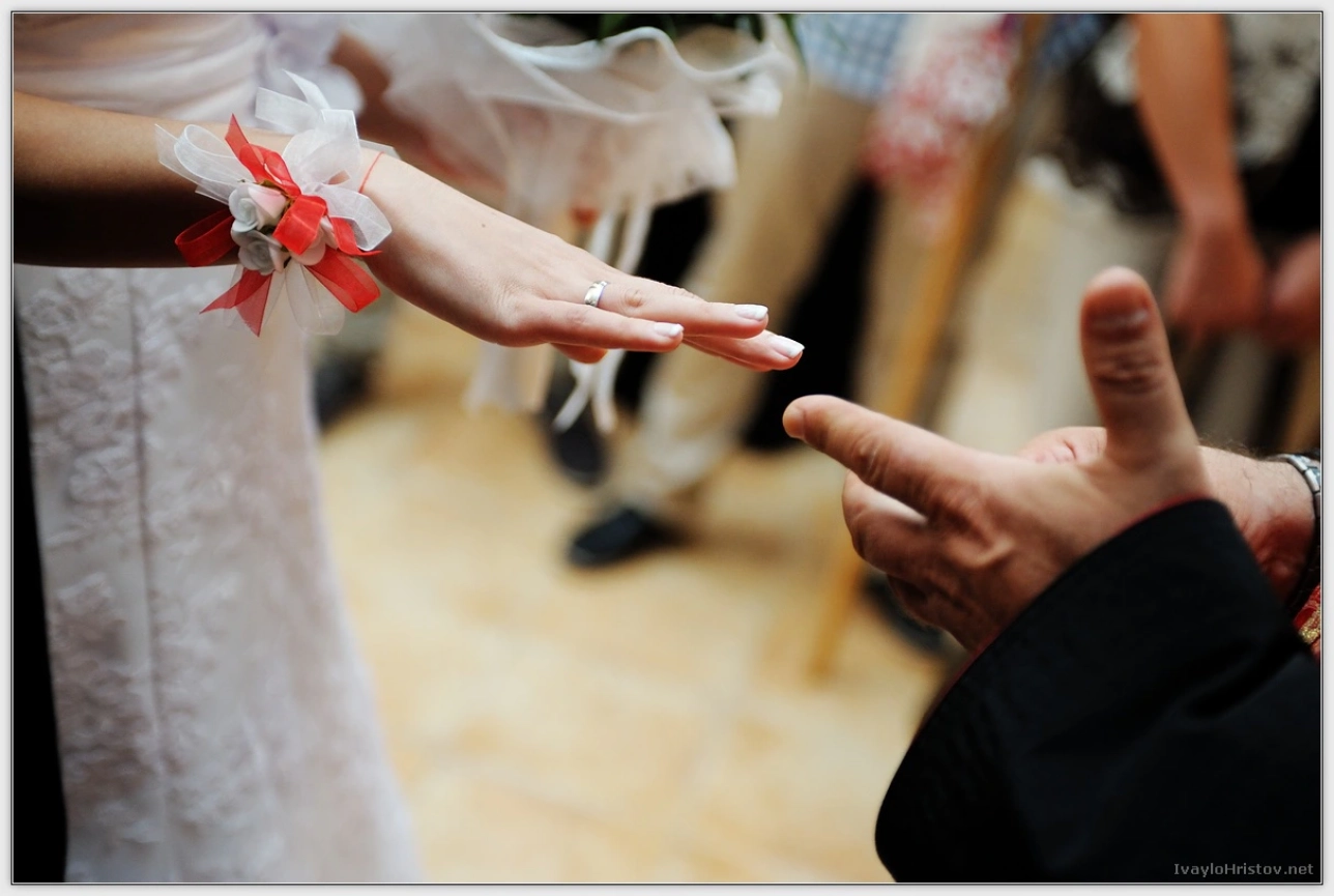 cveti-petur-089-2014