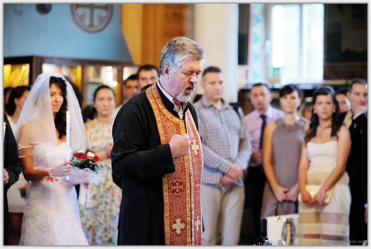 cveti-petur-090-2014