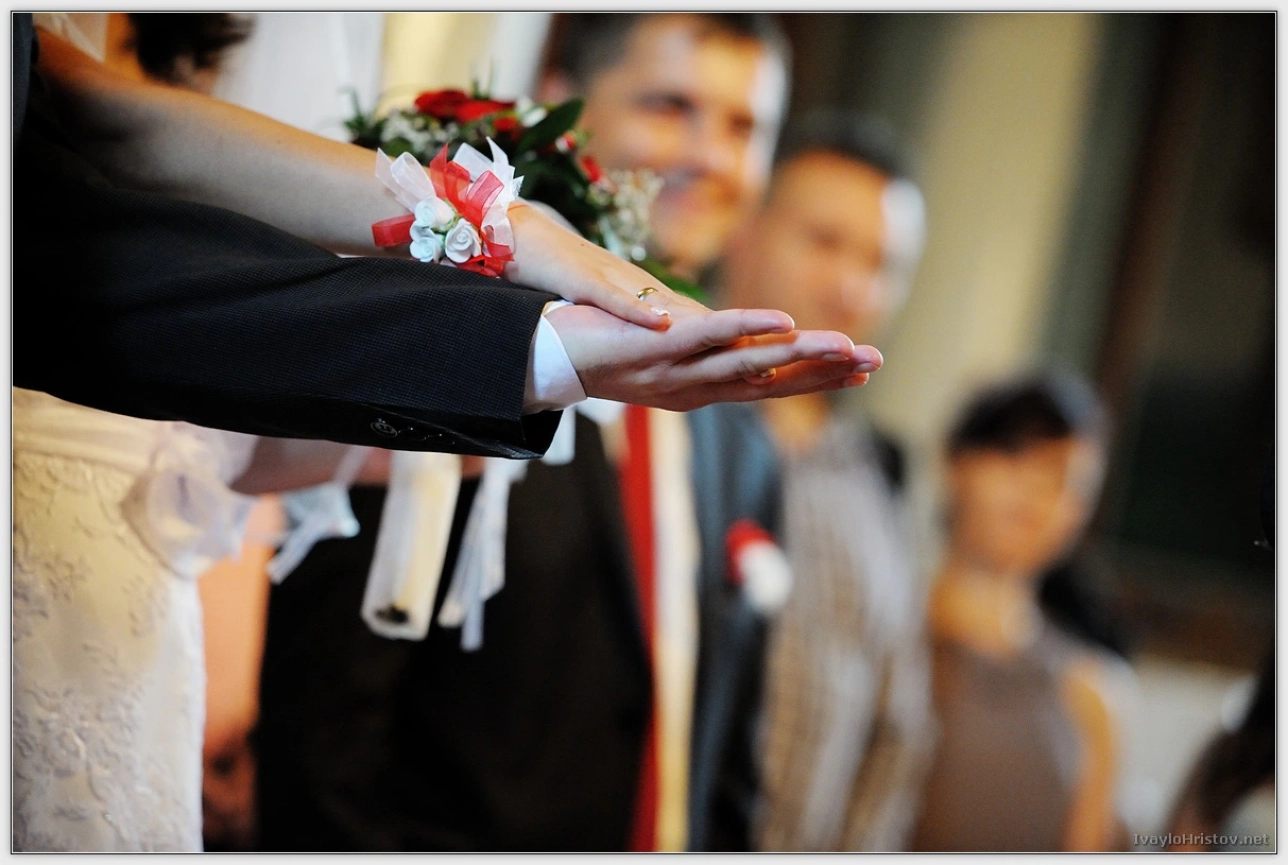 cveti-petur-099-2014