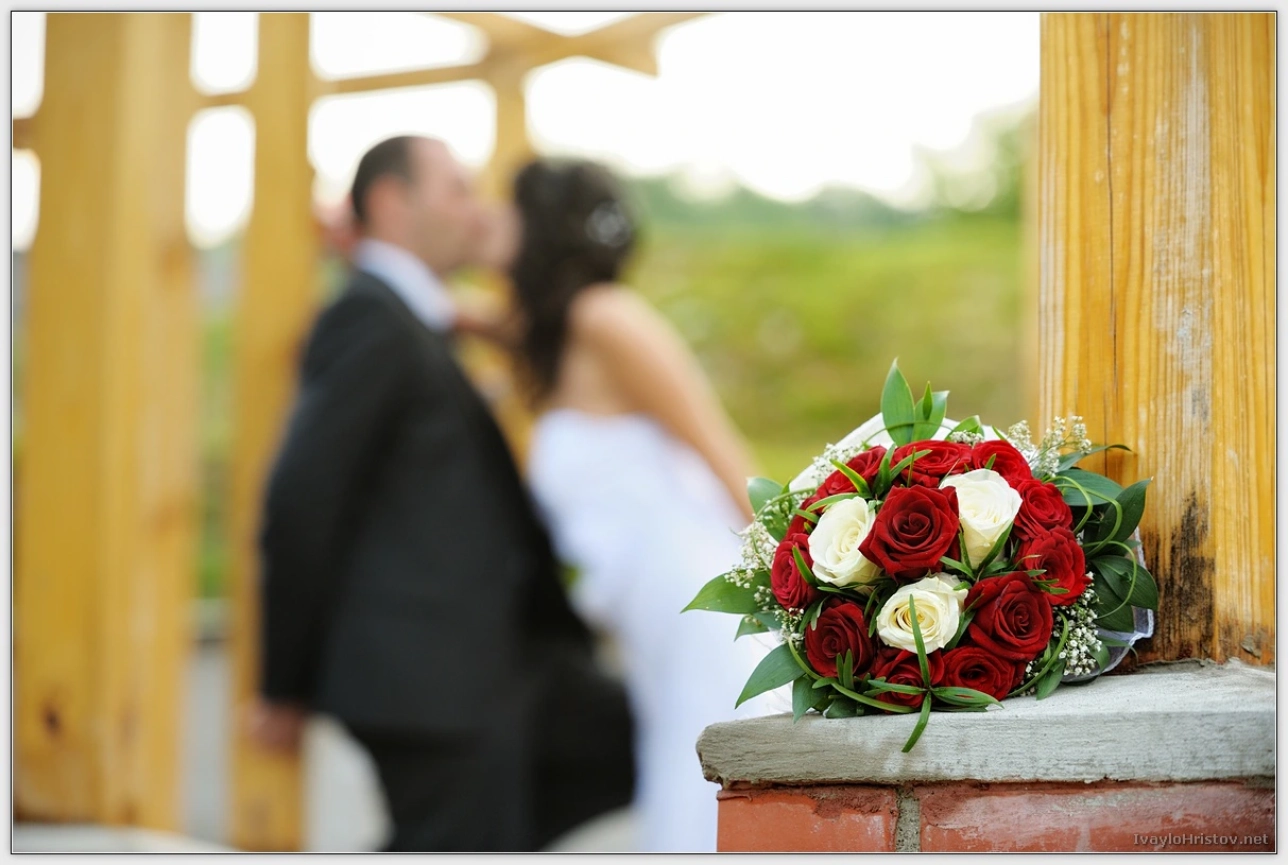 cveti-petur-131-2014