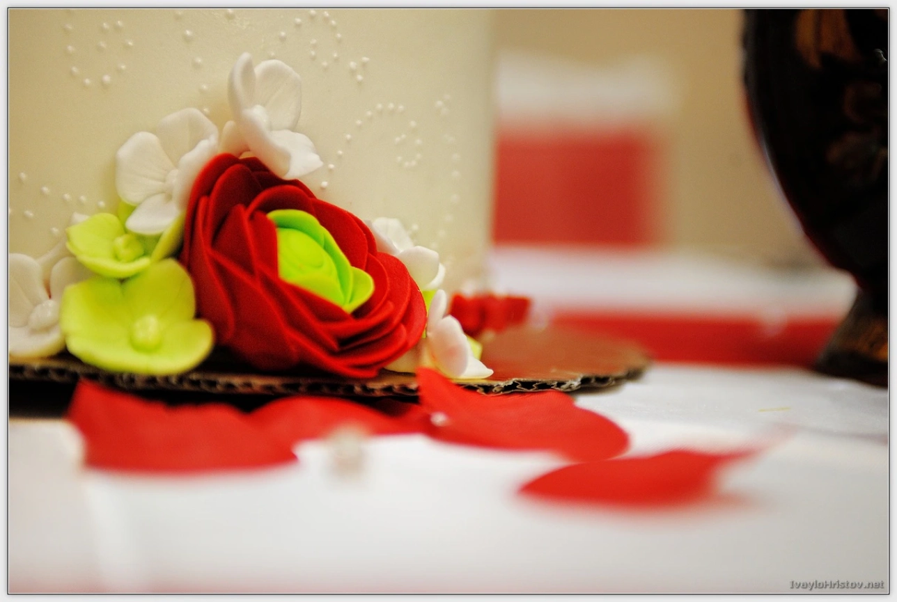 cveti-petur-139-2014