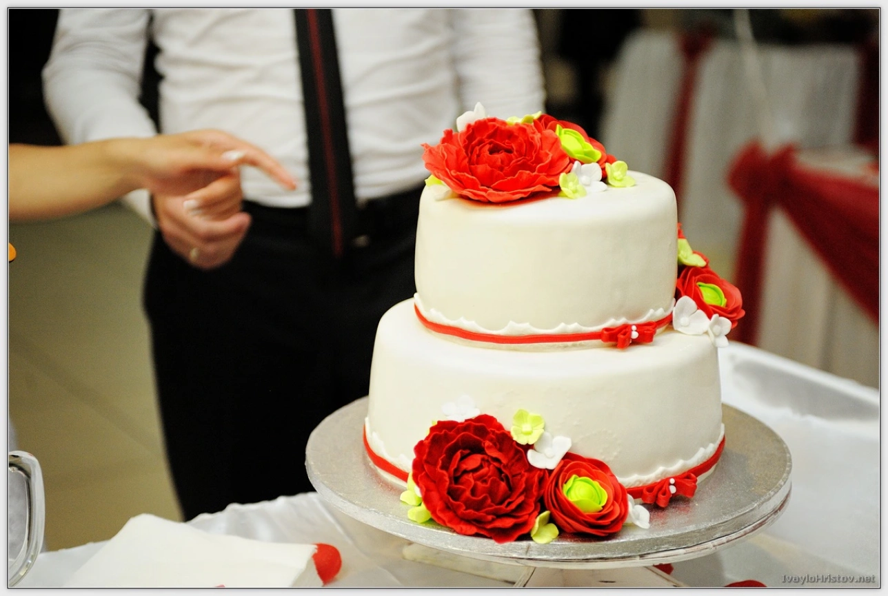 cveti-petur-204-2014