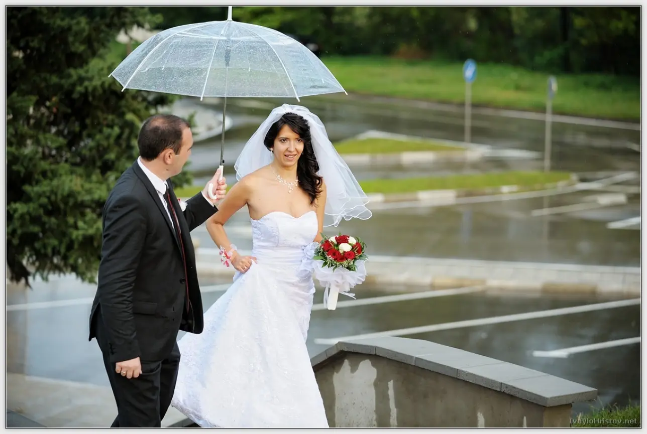 Cveti_Petur_108_2014