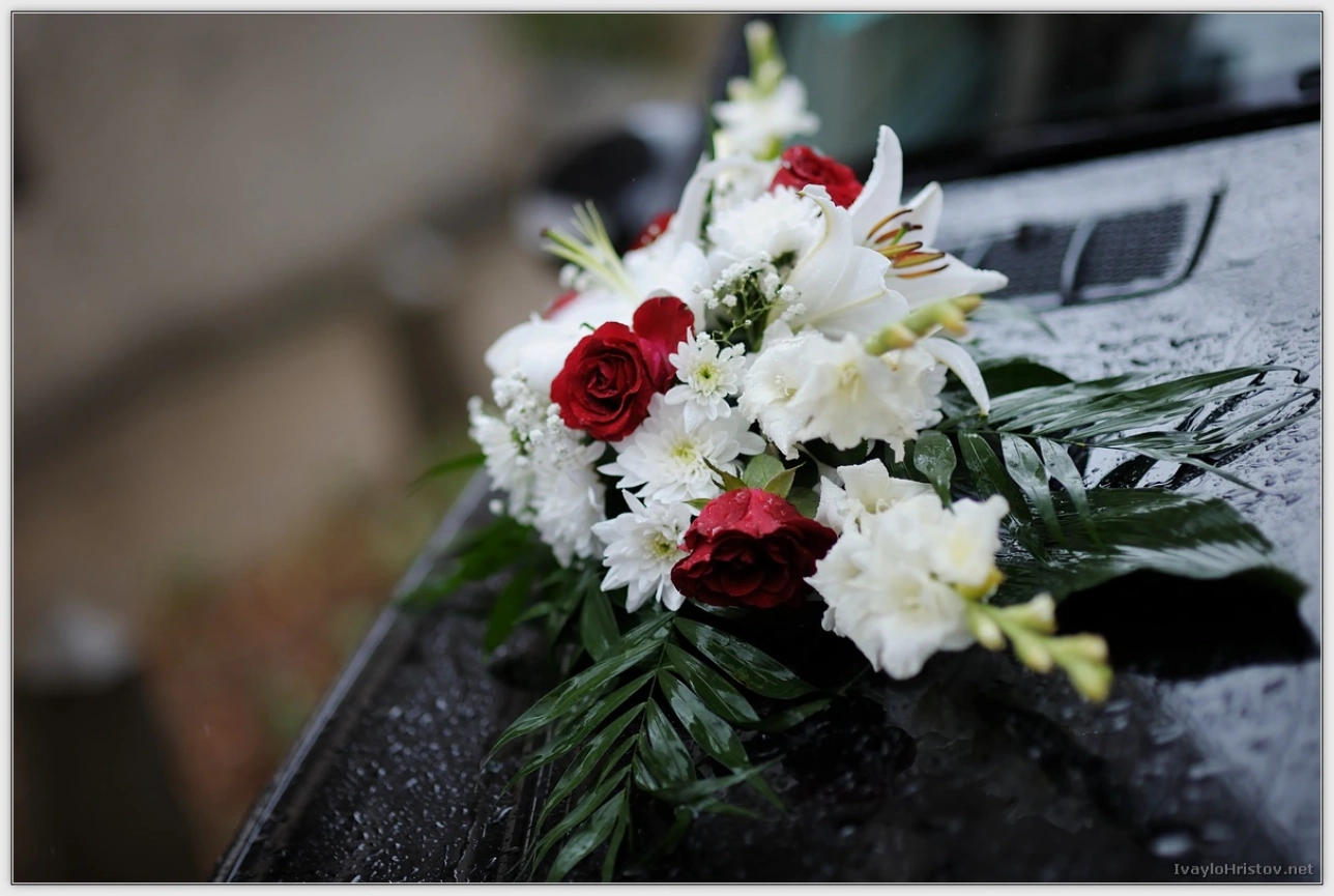 miglena-toshko-072-2014